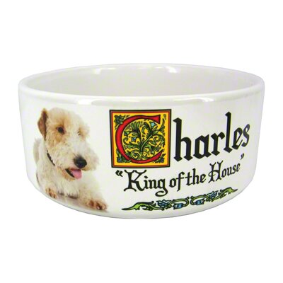 Large 7" Ceramic Pet Bowl Thumbnail